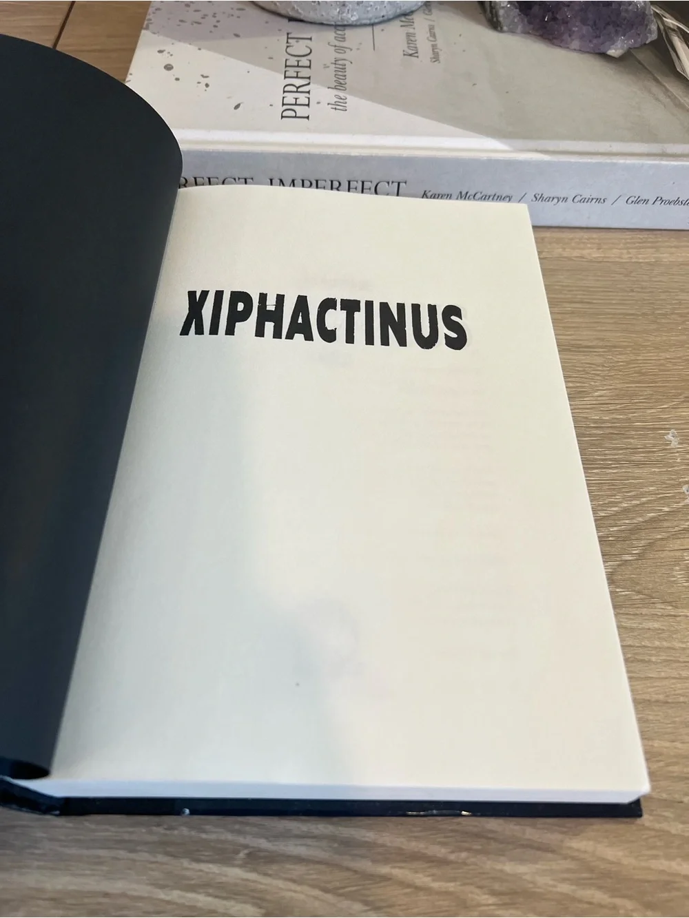 Xiphactinus Rich Shapero Hardcover Book 2025 Silicon Valley Satire Fiction⁠